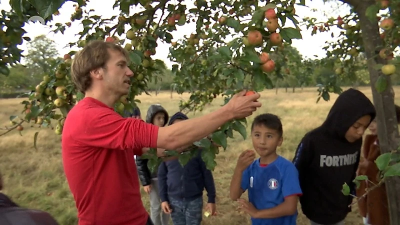 Fruitpluk en -persactie van Wetterse verenigingen, Velt en Voedselteam