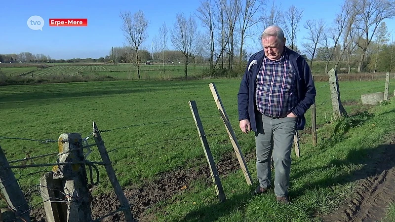 Premie voor tip die leidt naar vermoedelijk gestolen koe in Erpe-Mere