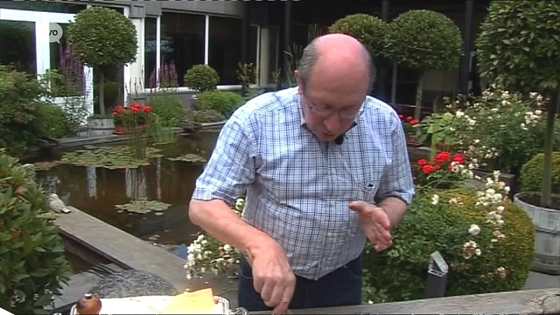 Hoofdafbeelding voor artikel TV Oost Nieuws van donderdag…