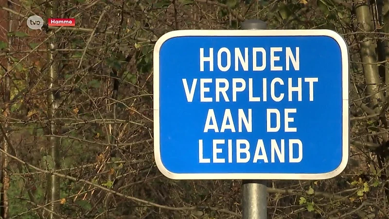 Hamme plaatst 15 borden: 'Honden verplicht aan de leiband'