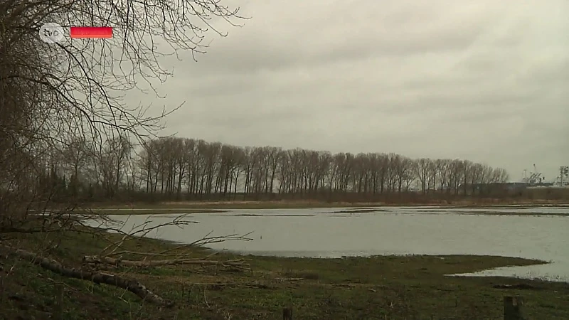 Buffer van 1.000 bomen moet Beveren afschermen van de Waaslandhaven