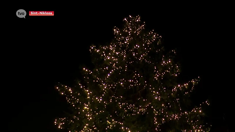 Wauw! De gigantische kerstboom van Julien heeft lichtjes gekregen van de stad Sint-Niklaas