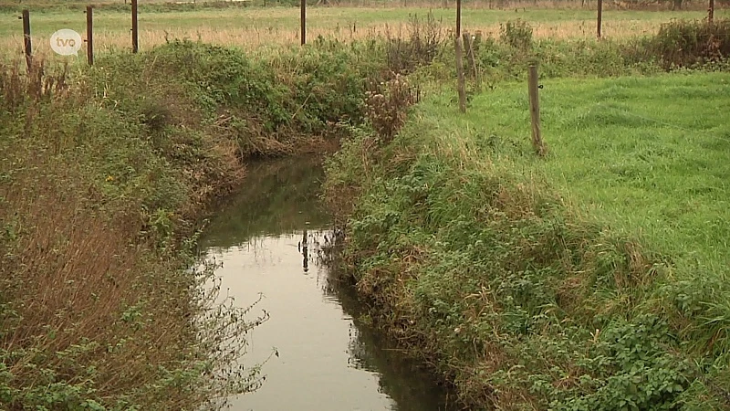 Nog altijd veel te veel nitraten in het Oost-Vlaams grondwater
