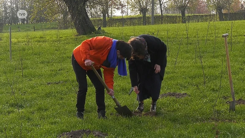 TV Provincie: Boomplantactie ter compensatie van vliegtuigreizen