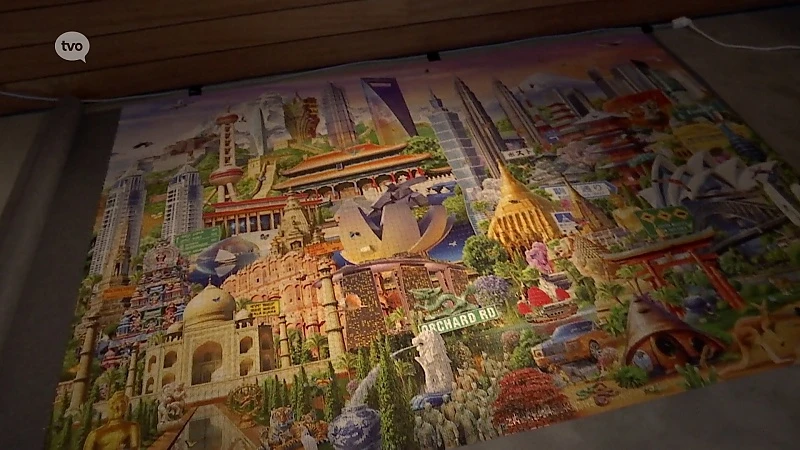Gezin legt 'Blijf in uw kot-puzzel' van 42.000 stukjes