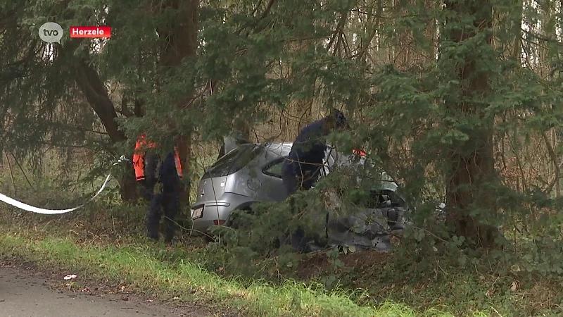 Autobestuurder overleeft klap tegen boom niet