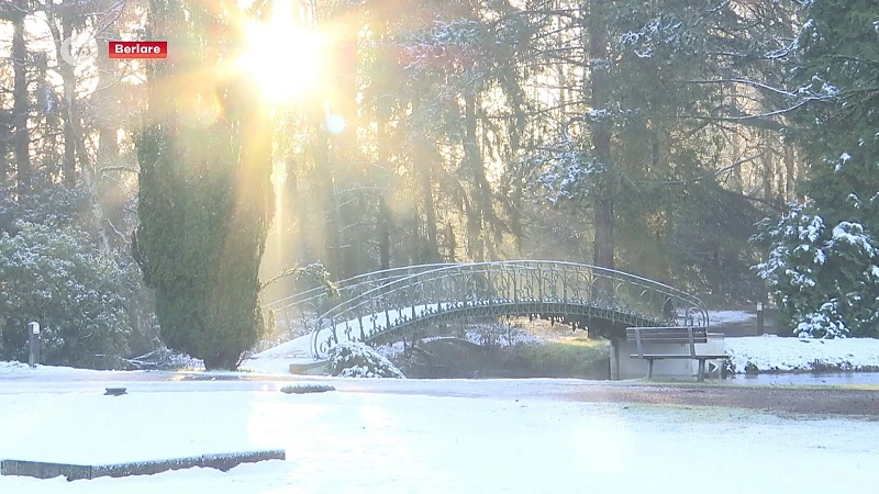 Koning winter tovert regio om tot prachtig sneeuwlandschap