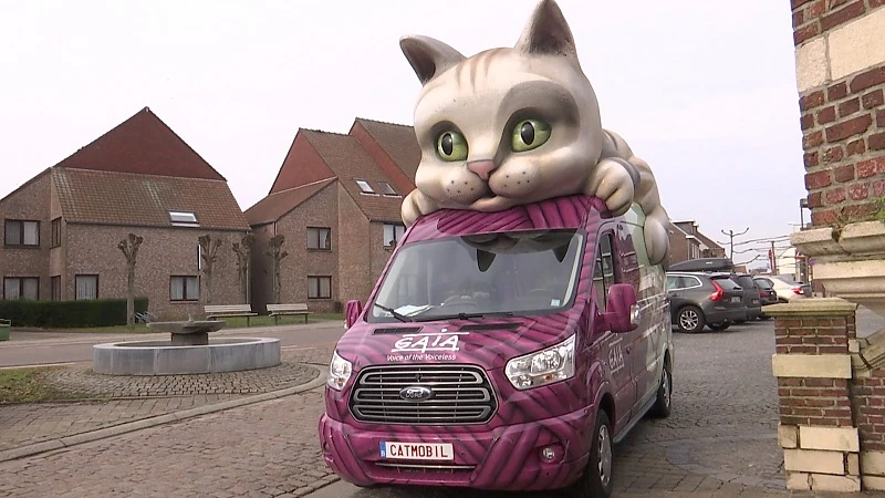 Catmobil van dierenrechtengroep GAIA spoort baasjes aan katten te laten steriliseren