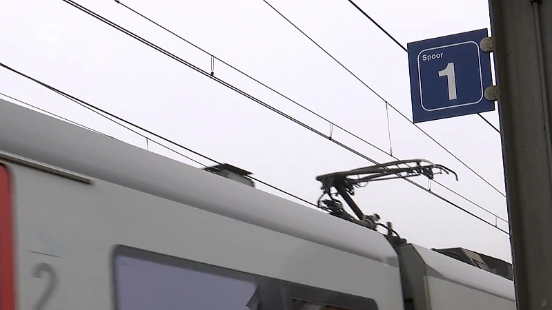 Groen Beveren wil sociale controle aan het station: "Een koffiebar of een fietsherstelpunt"