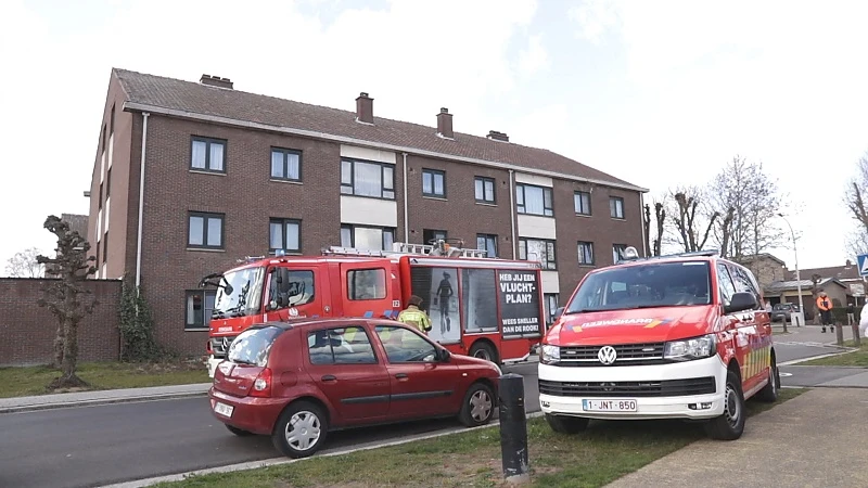 Twaalf appartementen ontruimd bij brand in Beveren