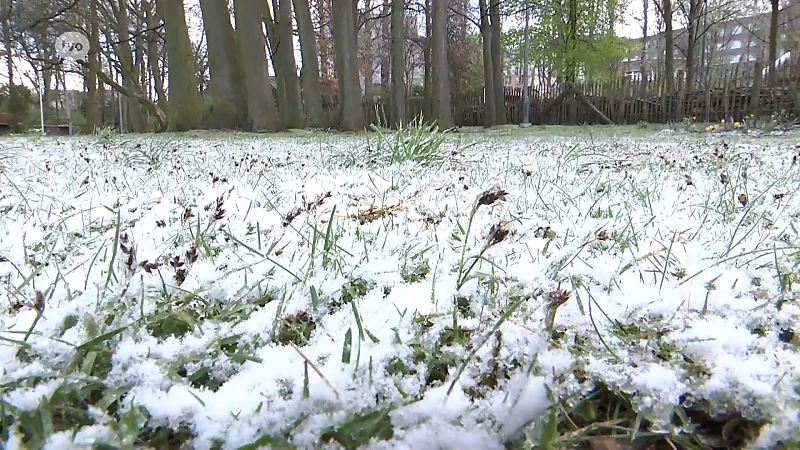 Sneeuw in april, het blijft bijzonder!