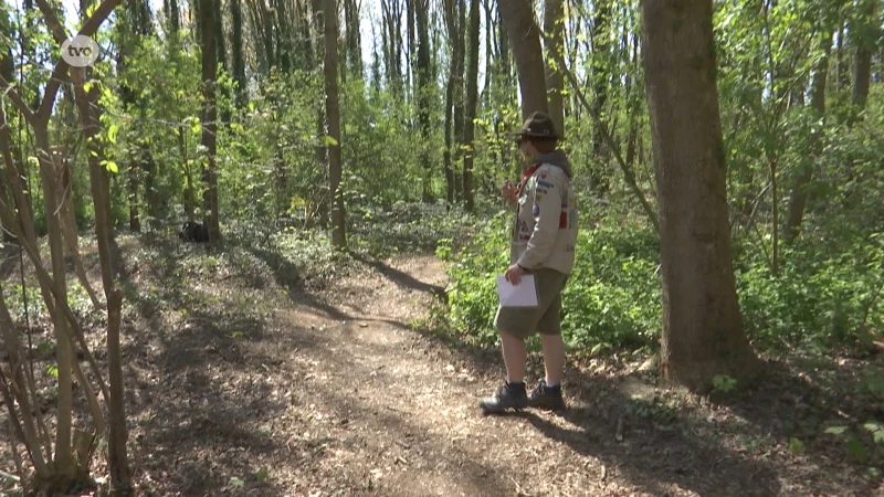 Scouts Hamme wijden speelbos aan Driegoten in