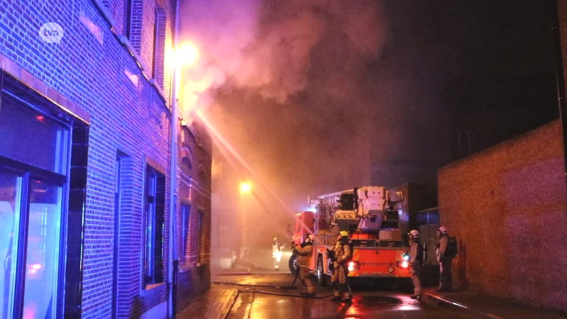 Bewoonster lichtgewond, hond overleeft appartementsbrand niet in Dendermonde