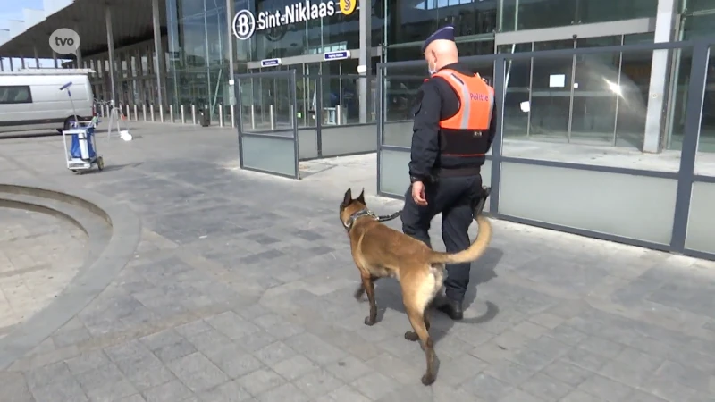 Politiehond Murphy gaat mee (drugs)overlast in Sint-Niklaas aanpakken