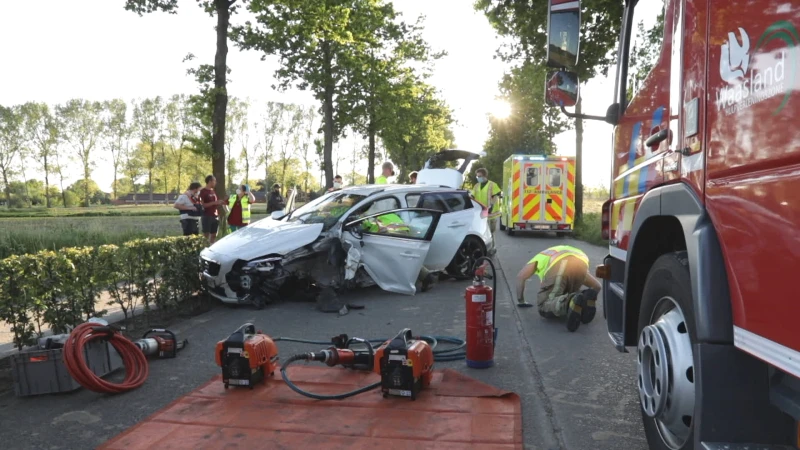 Chauffeur wordt onwel achter stuur en komt hard tegen boom terecht