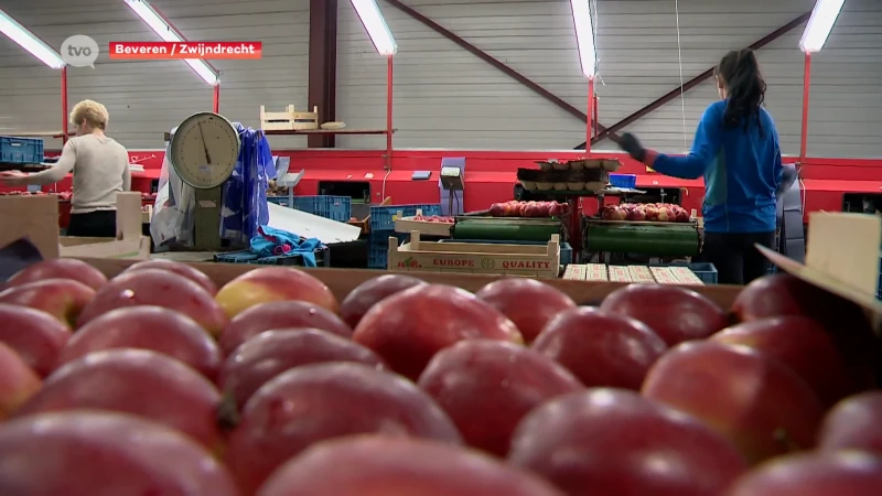 PFOS: boeren Zwijndrecht en Beveren ongerust over grondwater