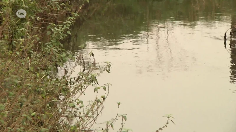 Ook in onze regio te veel PFOS in de waterlopen