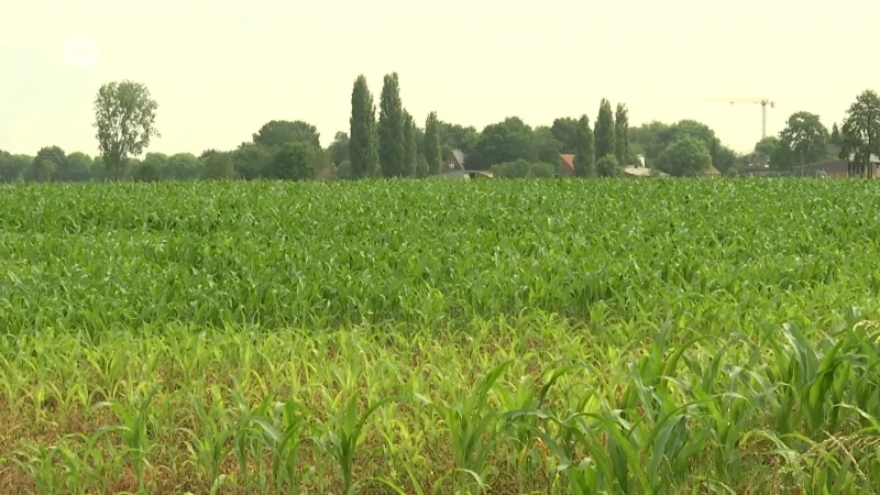 300.000 euro voor stadsbos Sint-Niklaas