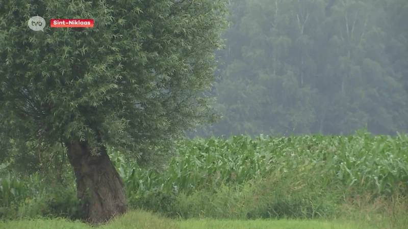 CD&V geen voorstander van stadsrandbos in Sint-Niklaas