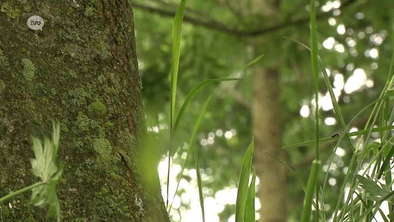 Herzele tekent als eerste Vlaamse gemeente in op een lokaal Klimaatpact en wil één boom per inwoner planten