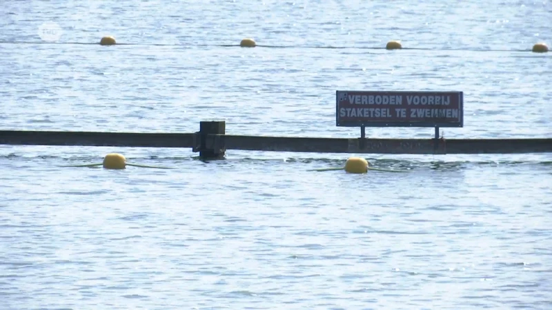 Geen verkoelende duik in zwemvijver van Nieuwdonk, blauwalg aangetroffen