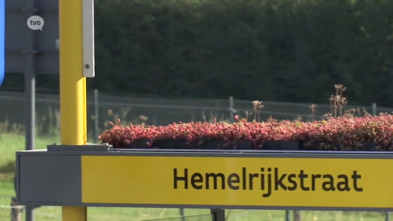 Temse installeert eerste Wase schuilhuisjes met groendak