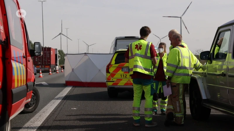 Bestuurder overleden nadat hij vermoedelijk onwel was geworden op E17 in Kruibeke