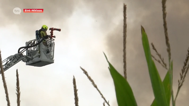 Hoofdafbeelding voor artikel Inferno legt kippenbedrijf…