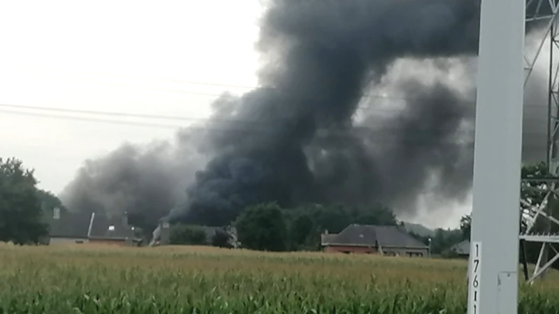 Grote rookpluim boven Sint-Niklaas door brand in kippenbedrijf