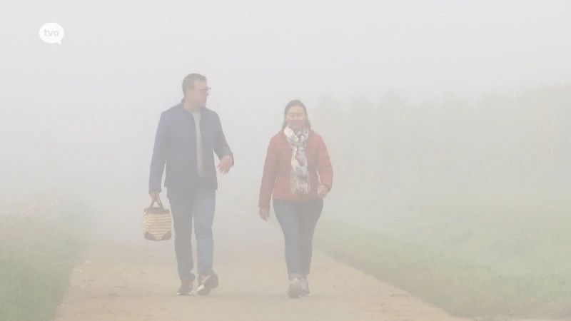 Geen uitbreiding van leemgroeve op Vlamovensite in Denderleeuw