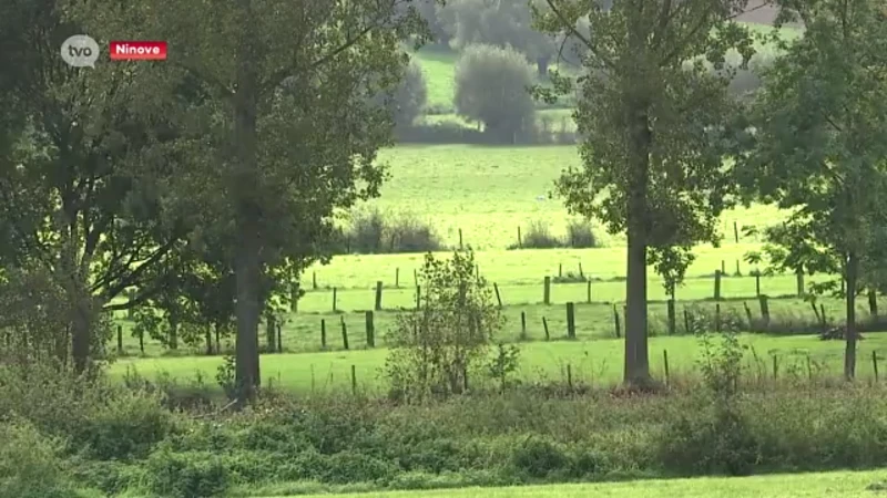 Ninove krijgt er 41 hectare natuur bij, het grootste deel wordt bos