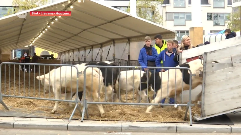 Houtem Jaarmarkt terug van jaartje weggeweest: "Erfgoed om te koesteren"