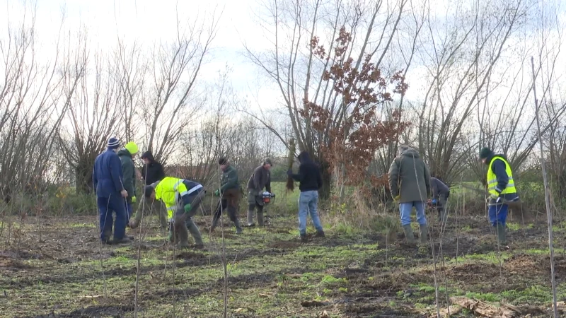 Biotoop rond Schans van Landmolen in Kruibeke wordt hersteld