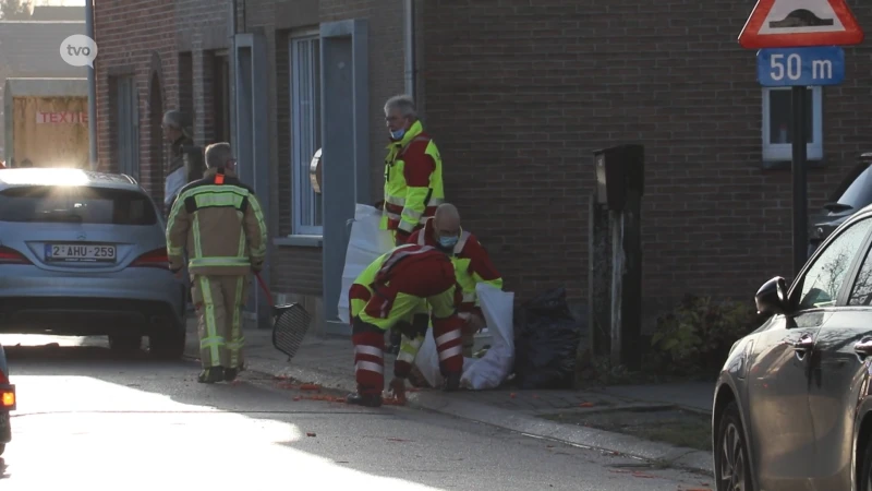 Landbouwer verliest lading wortels: kilomterslange wortelstoemp in Hamse straten