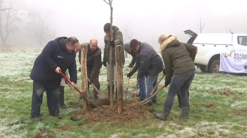 Weide Kravaalbos krijgt er 51 kersenbomen bij