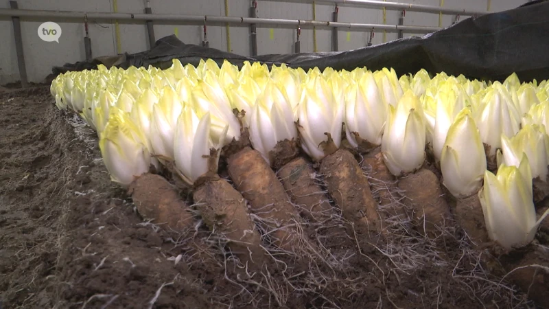 TV Oost Nieuws van donderdag 13/01/2022