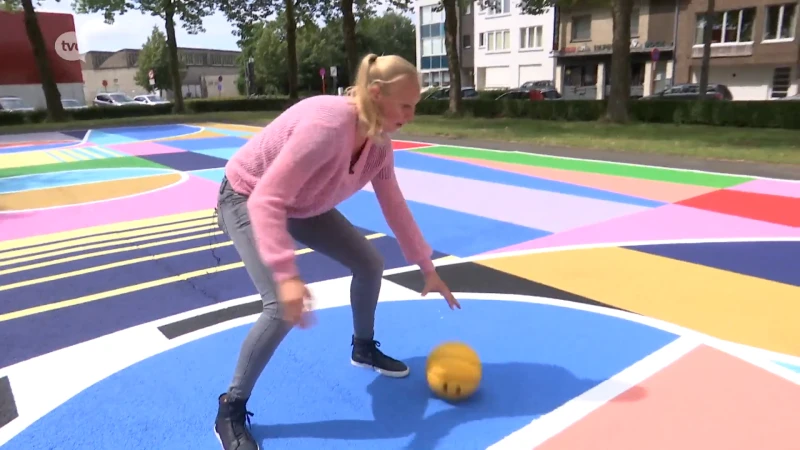 Ann Wauters gaat coachen bij Chicago Sky