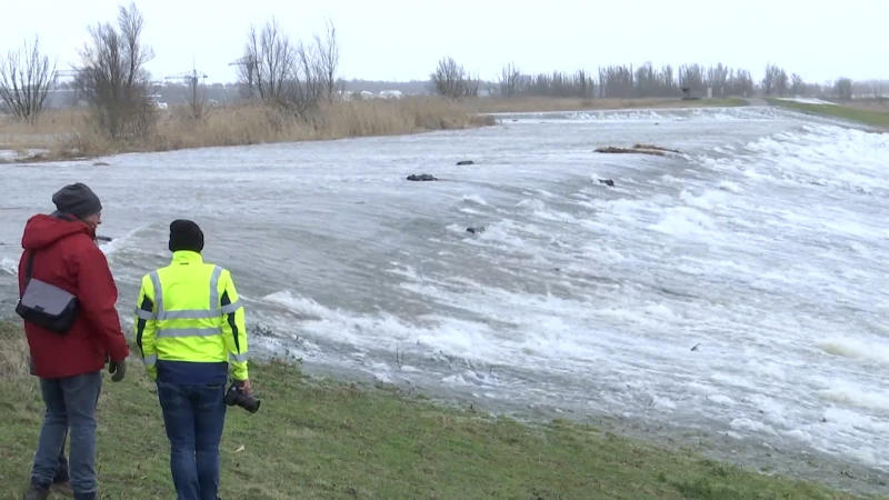 Machtige beelden! Overstromingsgebied in polders van Kruibeke loopt vol door springtij op Schelde