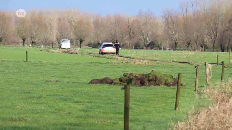 Wandelaar vindt lichaam van vrouw langs veldweg in Berlare