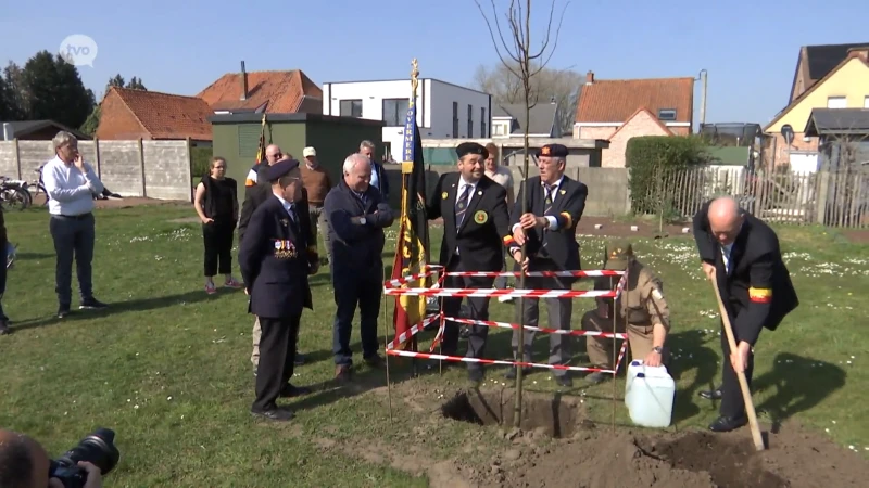 Nationale Strijdersbond plant nieuwe 'vrijheidsboom' in Overmere