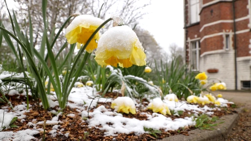 Regio ontwaakt onder laagje sneeuw