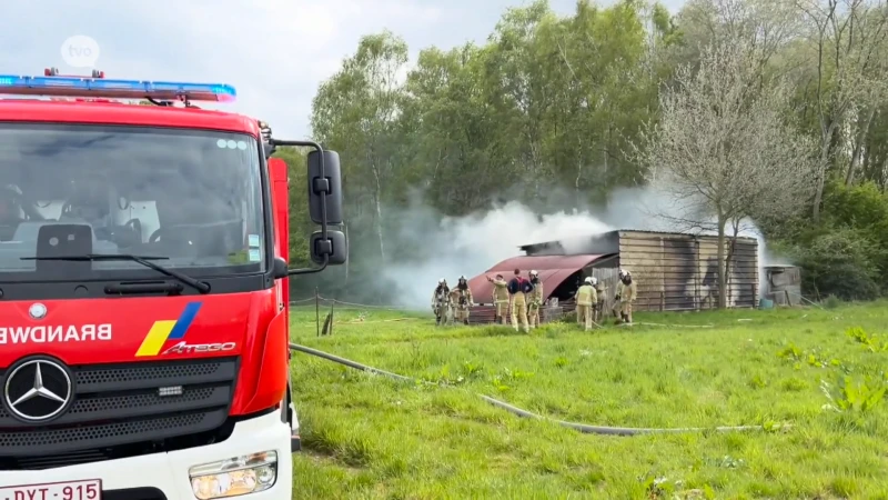 Drie brandjes kort na elkaar in Lede, vermoedelijk allemaal aangestoken