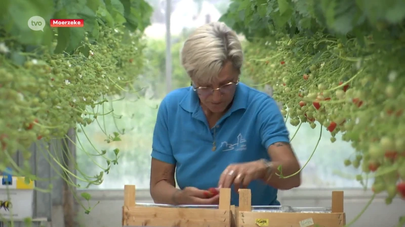 Landbouwers merken stijgende interesse in lokaal geproduceerde goederen