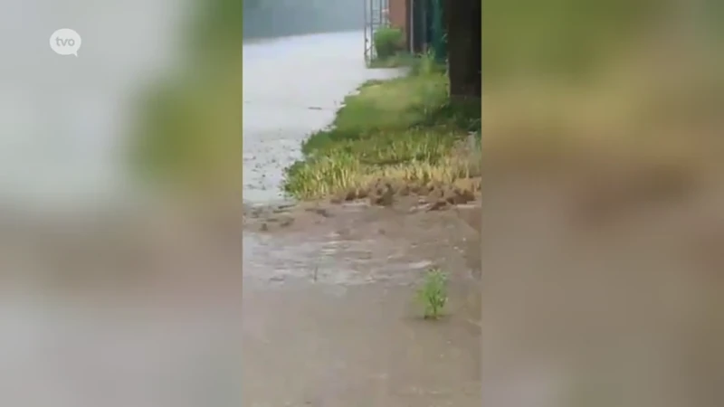 Straten in Wetteren blank na wolkbreuk, 20-tal oproepen voor wateroverlast