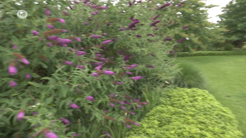 TV Oost Nieuws van donderdag 07/07/2022