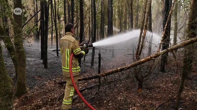 Korte maar hevige brand vernielt groot stuk bos aan grens met De Klinge