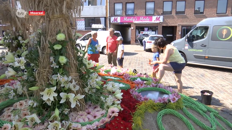 Eerste volwaardige Pikkeling zonder medebezielster Ilse Uyttersprot