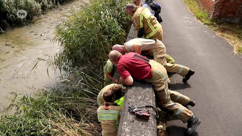 Hondje valt over kaaimuur naar beneden, brandweer moet beestje bevrijden