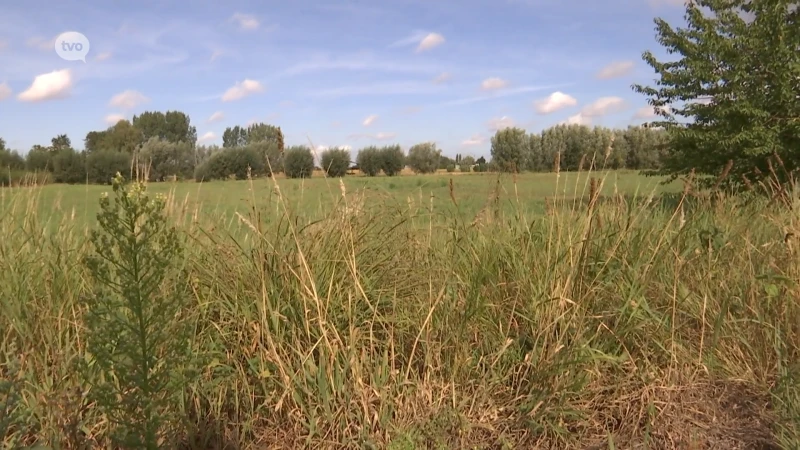 Eerste stap naar nieuw buurtbos De Raap in Sint-Niklaas