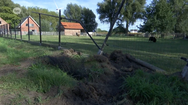 Tuinafsluiting over een lengte van 25 meter afgerukt, van dader ontbreekt elk spoor